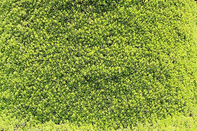 Certain Affinity工作室将参与开发《EXODUS》