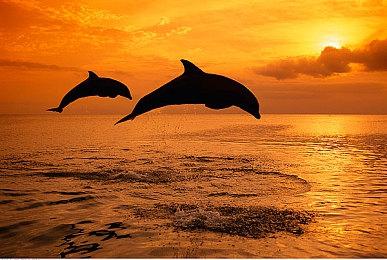 烛龙新作《心渊梦境》将于3月23日 在Steam开启首次公测